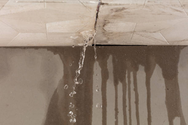 Professional Structural Drying technician working in Riverhead, NY